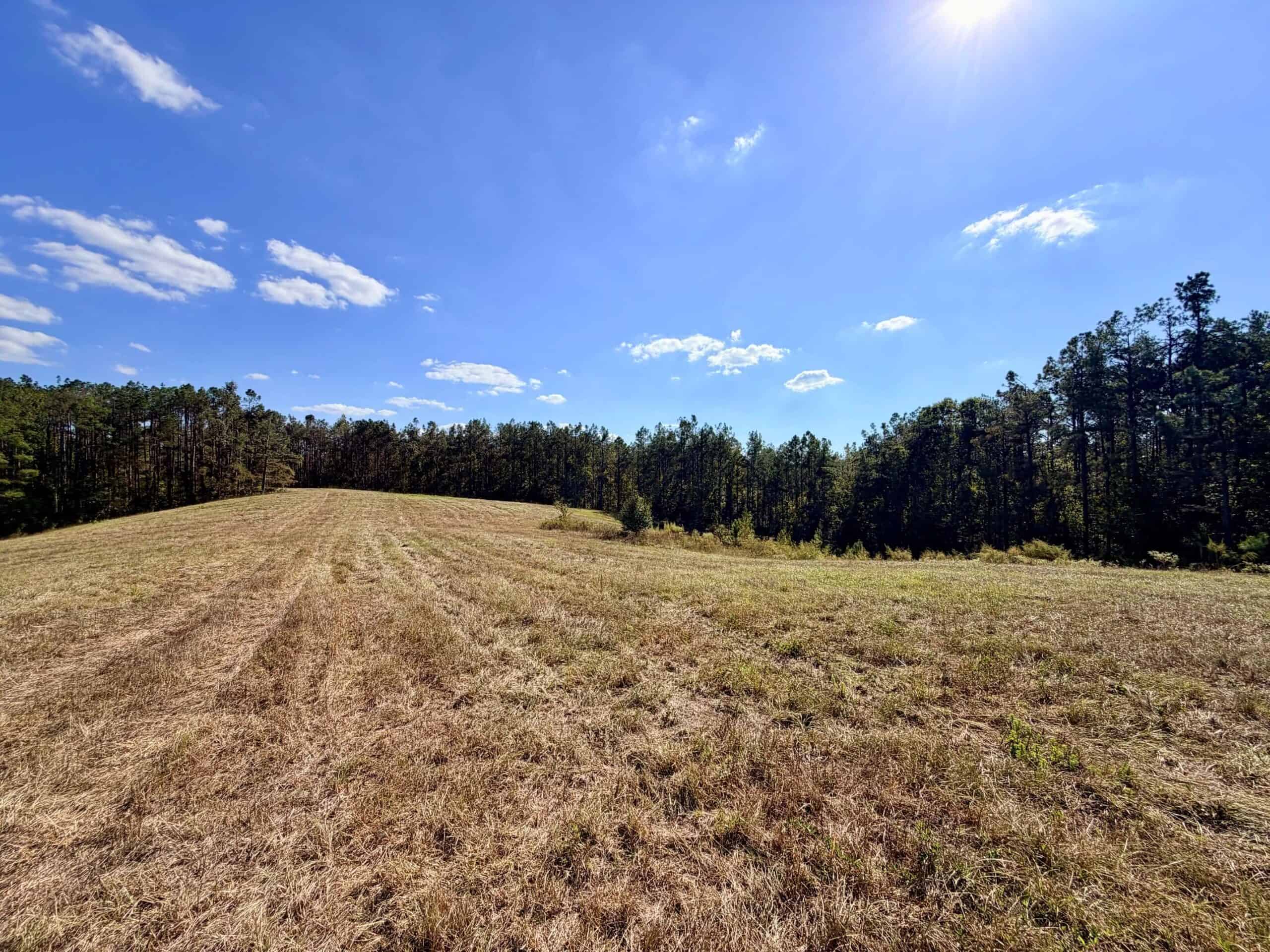 Farm, Breathtaking Home Site, INCREDIBLE Views, Tippah Co., MS