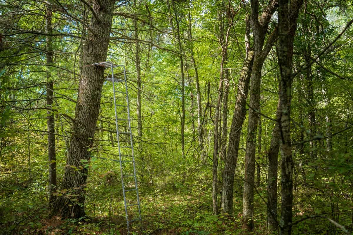 204.74± acres of premier recreational and hunting land in Eau Claire County
