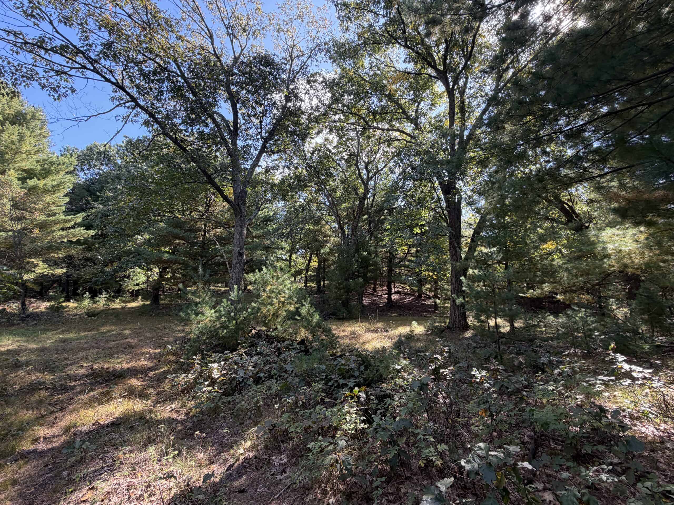 Buildable Hunting and Rec Property in Marquette County WI