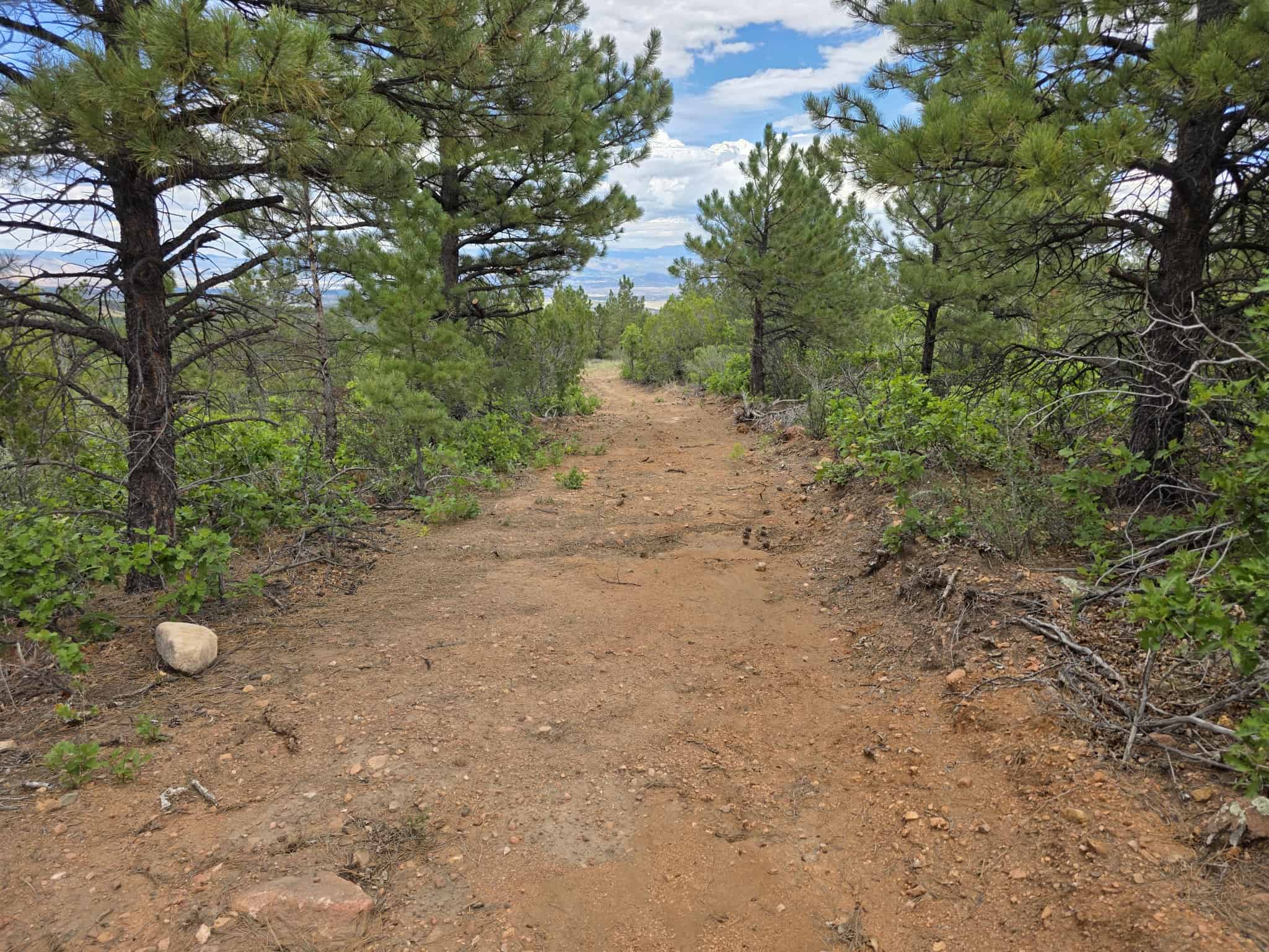 170.68 ± Acre Hunting Ranch by National Forest | Florence, CO