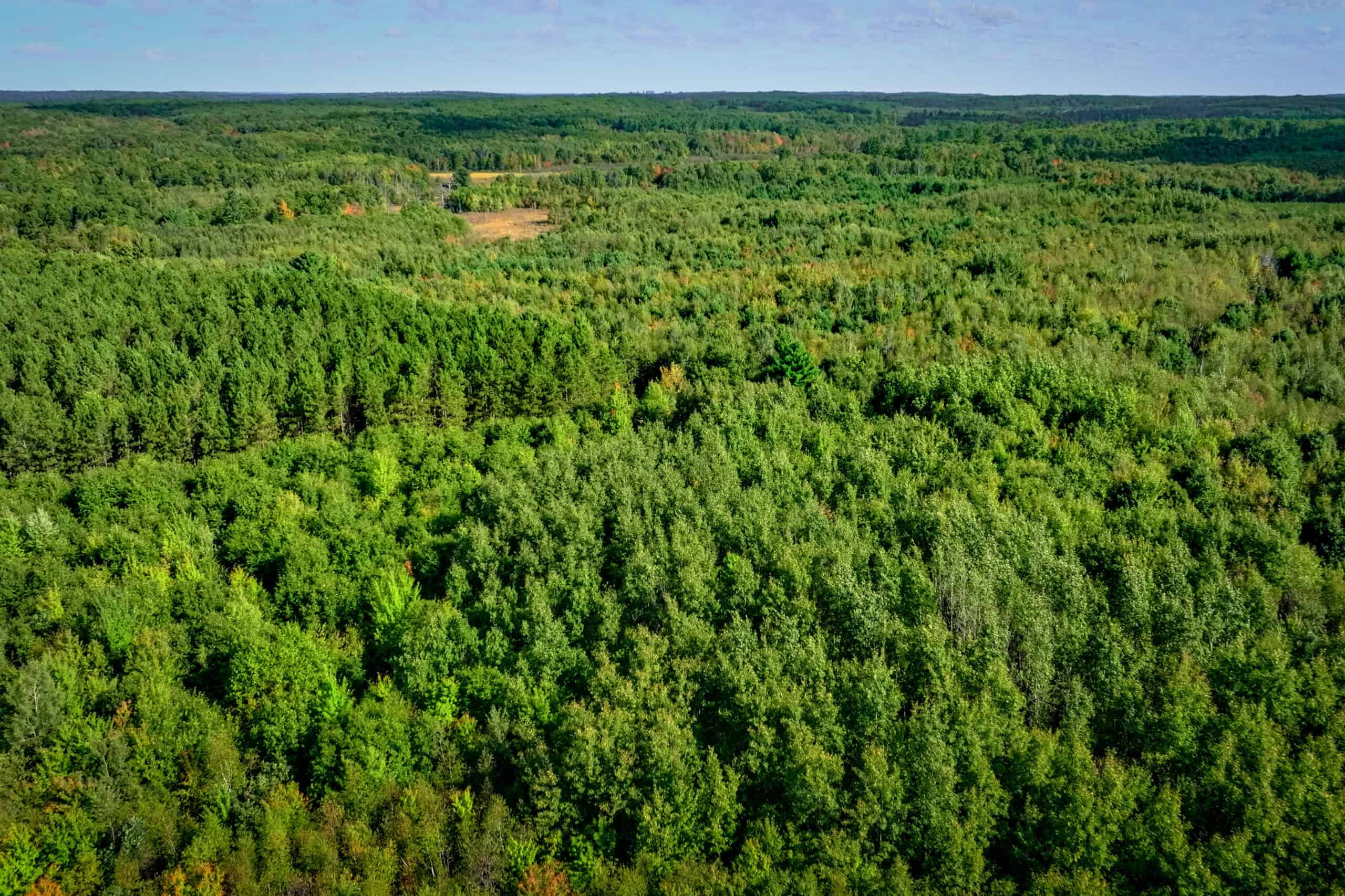 369± acres of premier recreational and hunting land in Eau Claire County