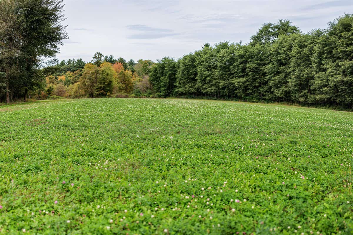 Turnkey 28± Acre Hunting Property Near Melrose, Wisconsin