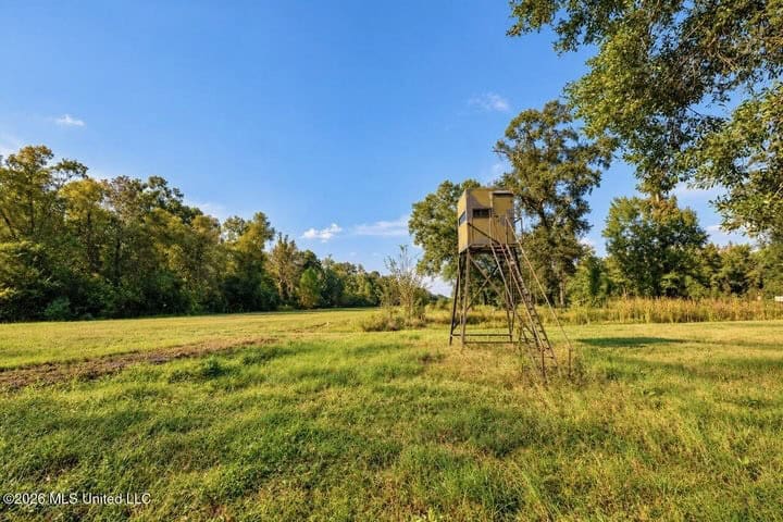 1979± Acre Hunting Plantation in White Castle, LA