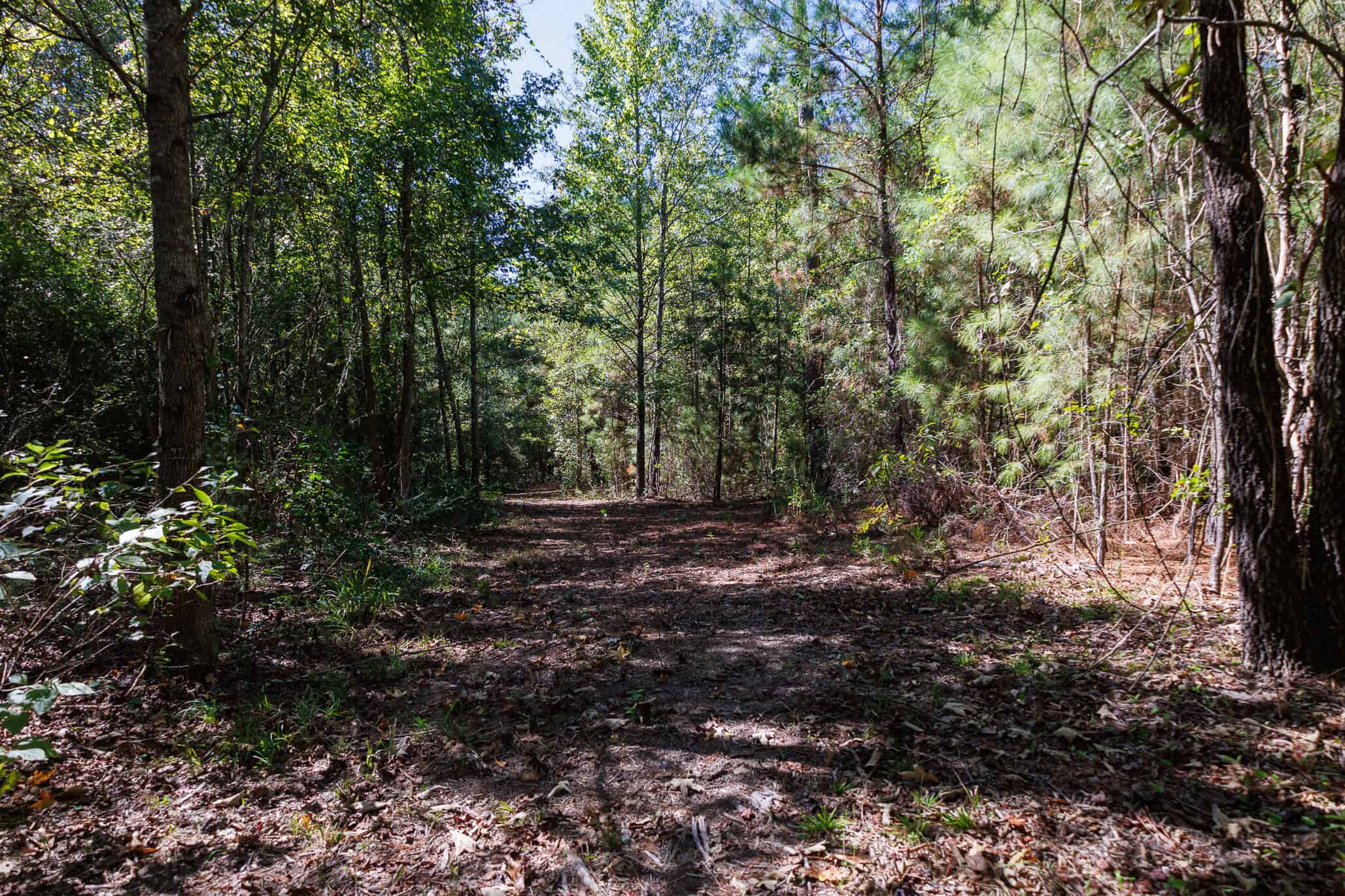 East Texas Recreational Land for Sale Gilmer TX Upshur County | Hunt & Timber