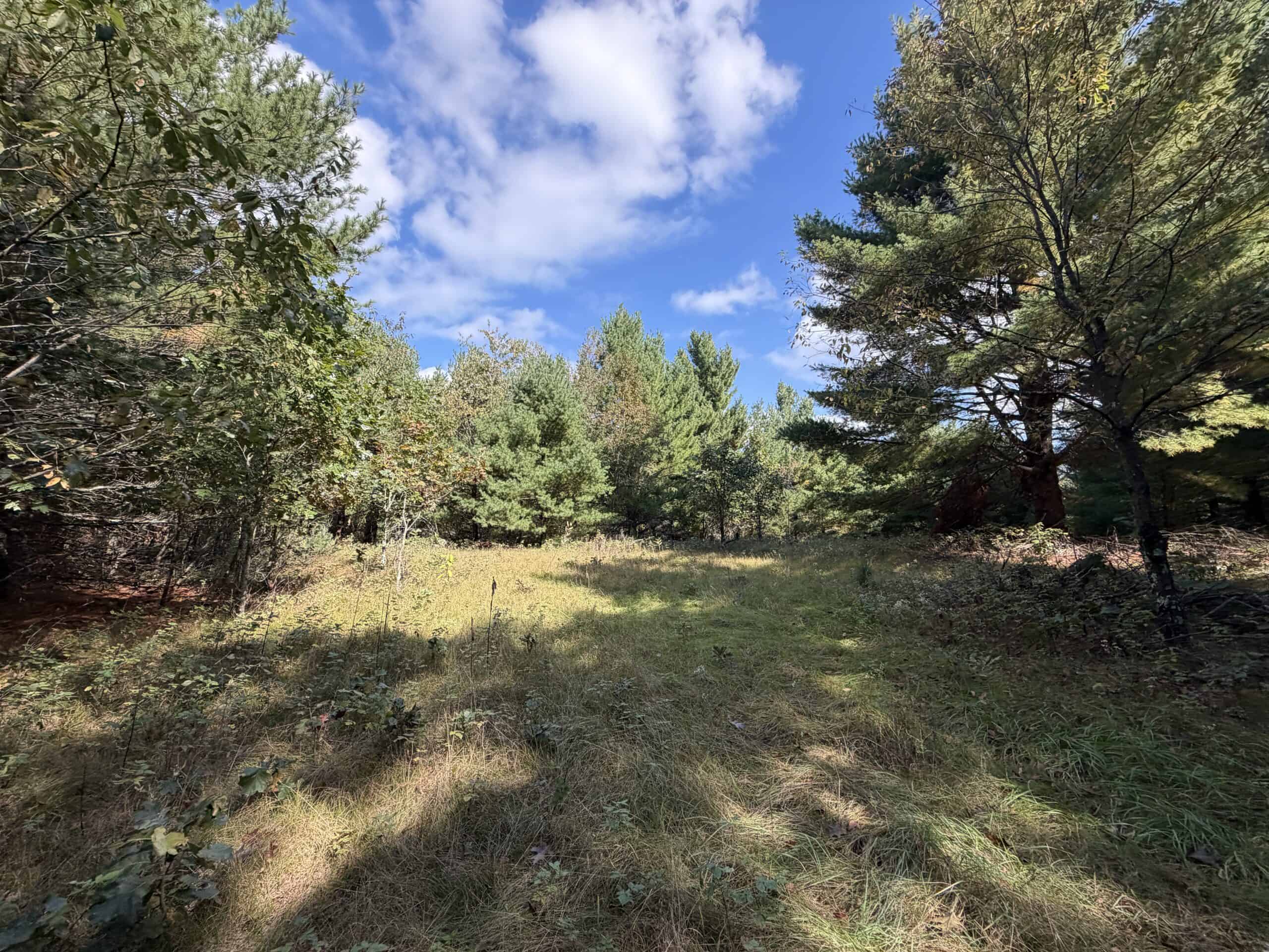 Buildable Hunting and Rec Property in Marquette County WI