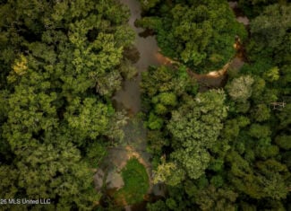 900 Acres for Sale – Hunter’s Paradise South Mississippi