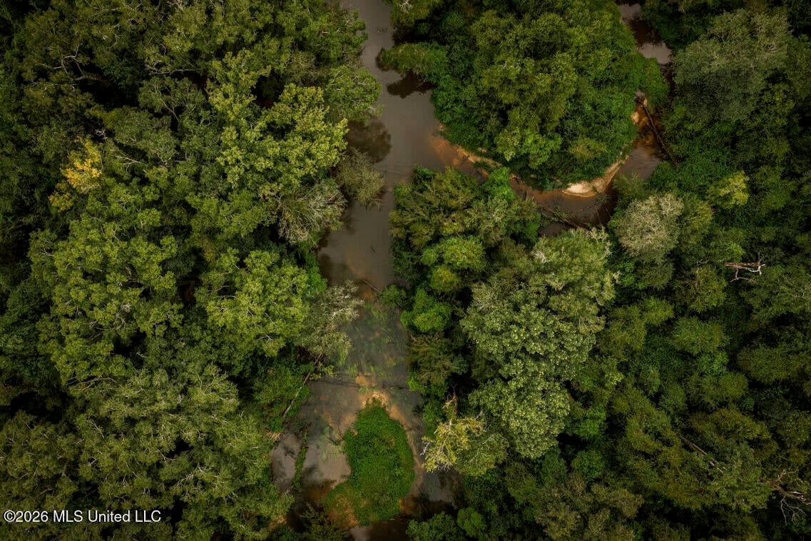 900 Acres for Sale – Hunter’s Paradise South Mississippi