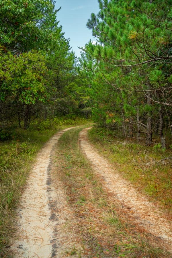 43± acre timbered tract off Horse Creek Road