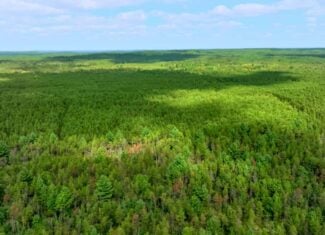 43 +/- Acres Augusta Wisconsin
