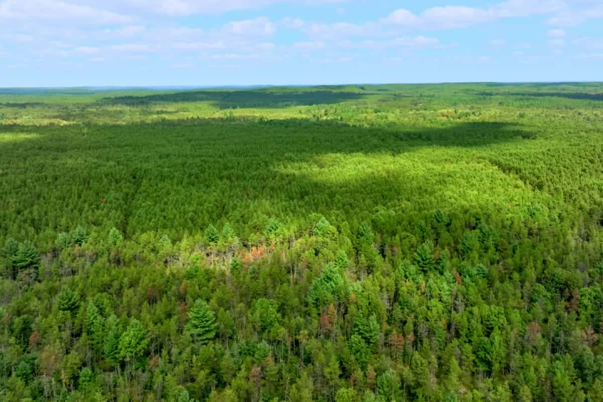 43 +/- Acres Augusta Wisconsin