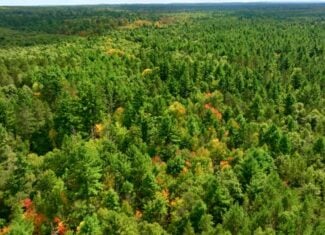 80± acres of heavily timbered recreational land featuring rolling terrain