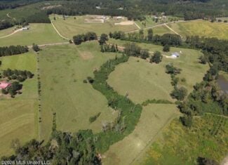 23± Acre Homesite & Pasture in Amite County, MS