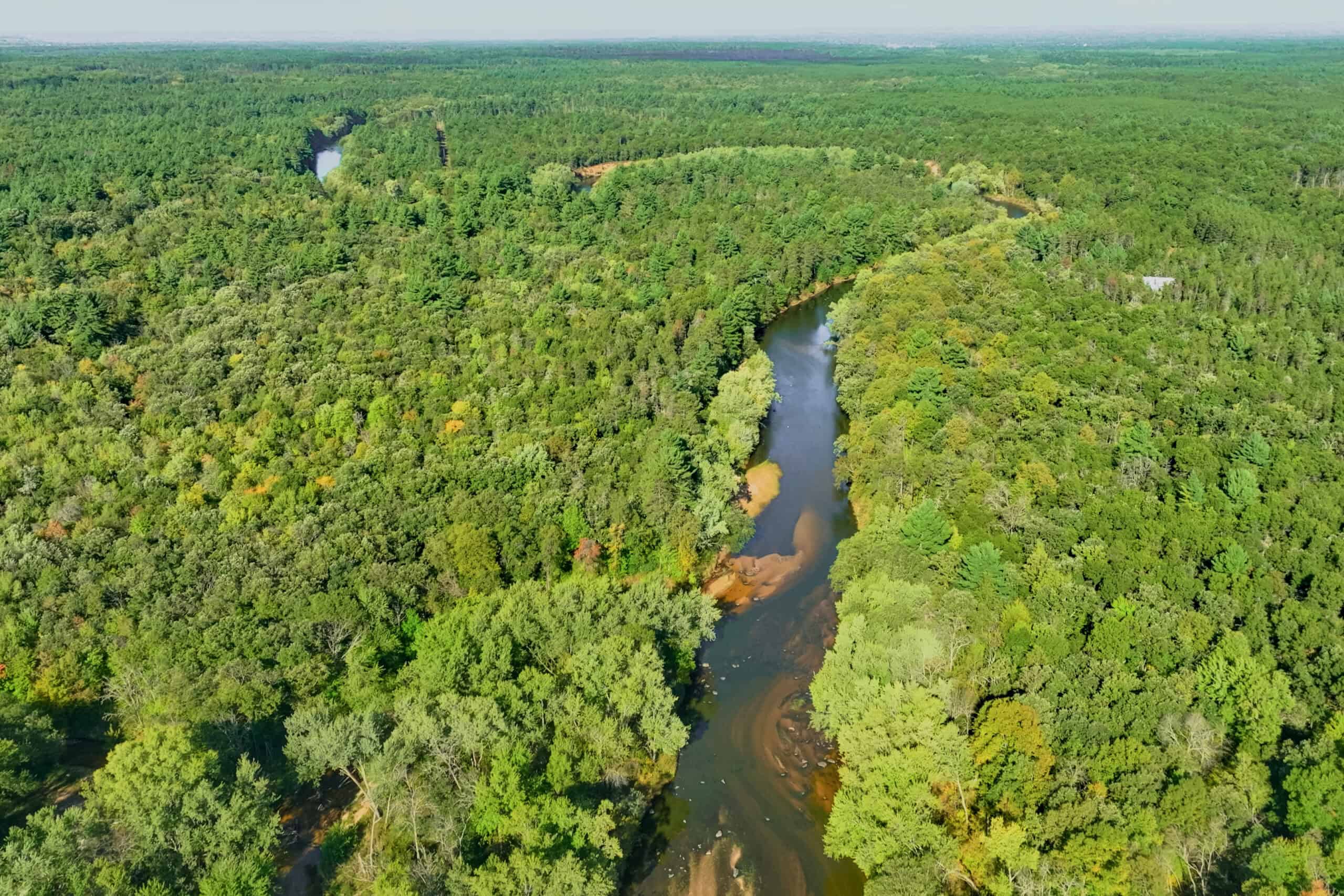 369± acres of premier recreational and hunting land in Eau Claire County