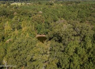 19.7+/- Acres of Wooded Land for Sale in Magnolia, MS