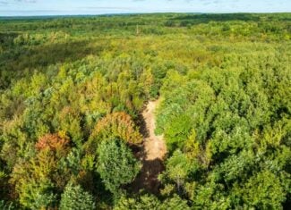 204.74± acres of premier recreational and hunting land in Eau Claire County