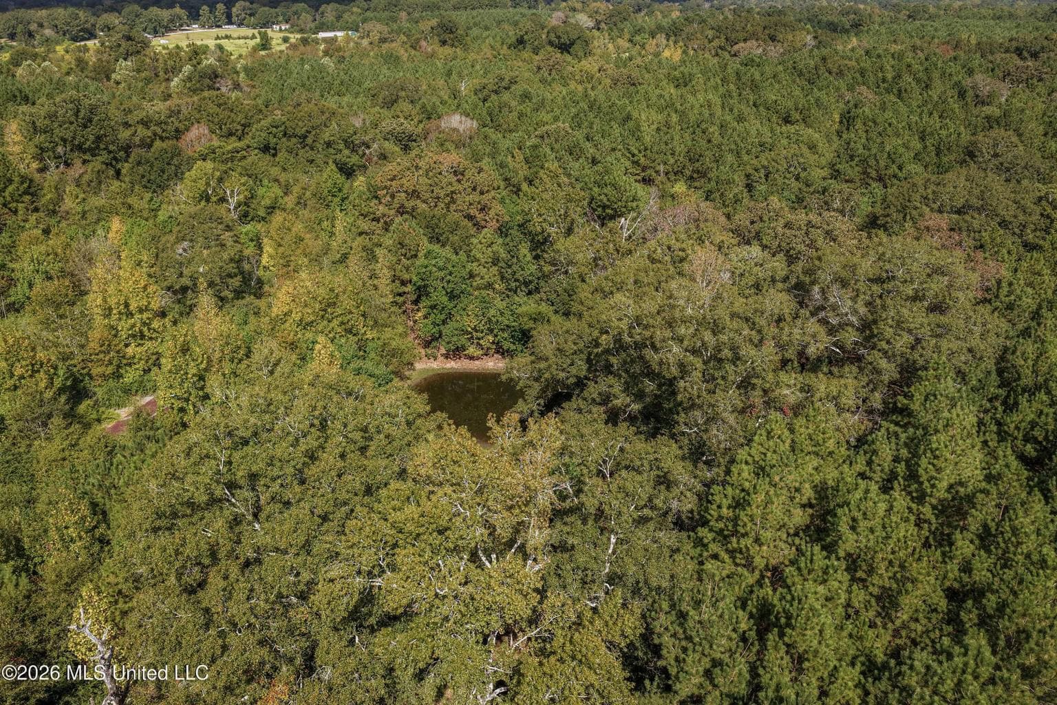 19.7+/- Acres of Wooded Land for Sale in Magnolia, MS