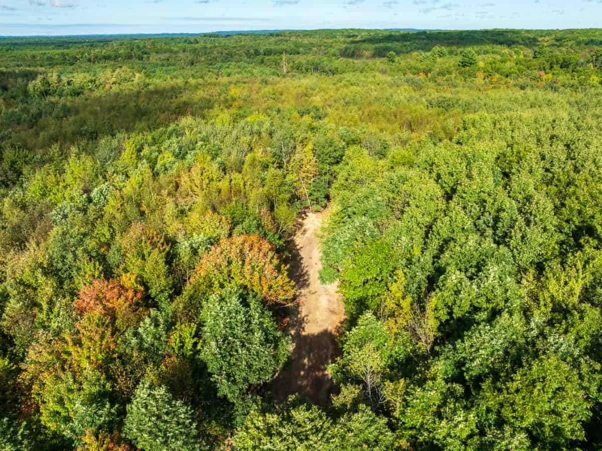 204.74± acres of premier recreational and hunting land in Eau Claire County