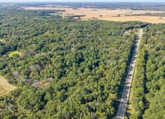 Buildable Hunting and Rec Property in Marquette County WI