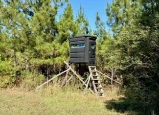 63 Acres Land For Sale Near Starkville MS