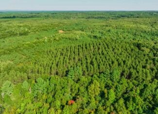 200± acres of Western Wisconsin recreational country Eau Claire Cty