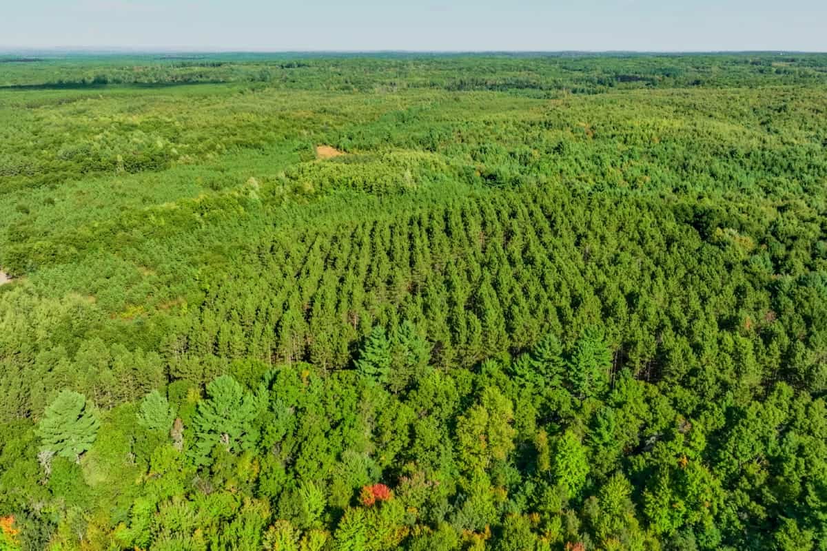 200± acres of Western Wisconsin recreational country Eau Claire Cty