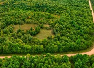 84± acres of heavily timbered recreational and hunting land in Eau Claire County