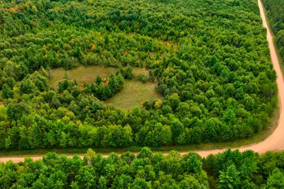 84± acres of heavily timbered recreational and hunting land in Eau Claire County