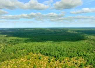 120± acres of heavily timbered hunting land in Eau Claire County