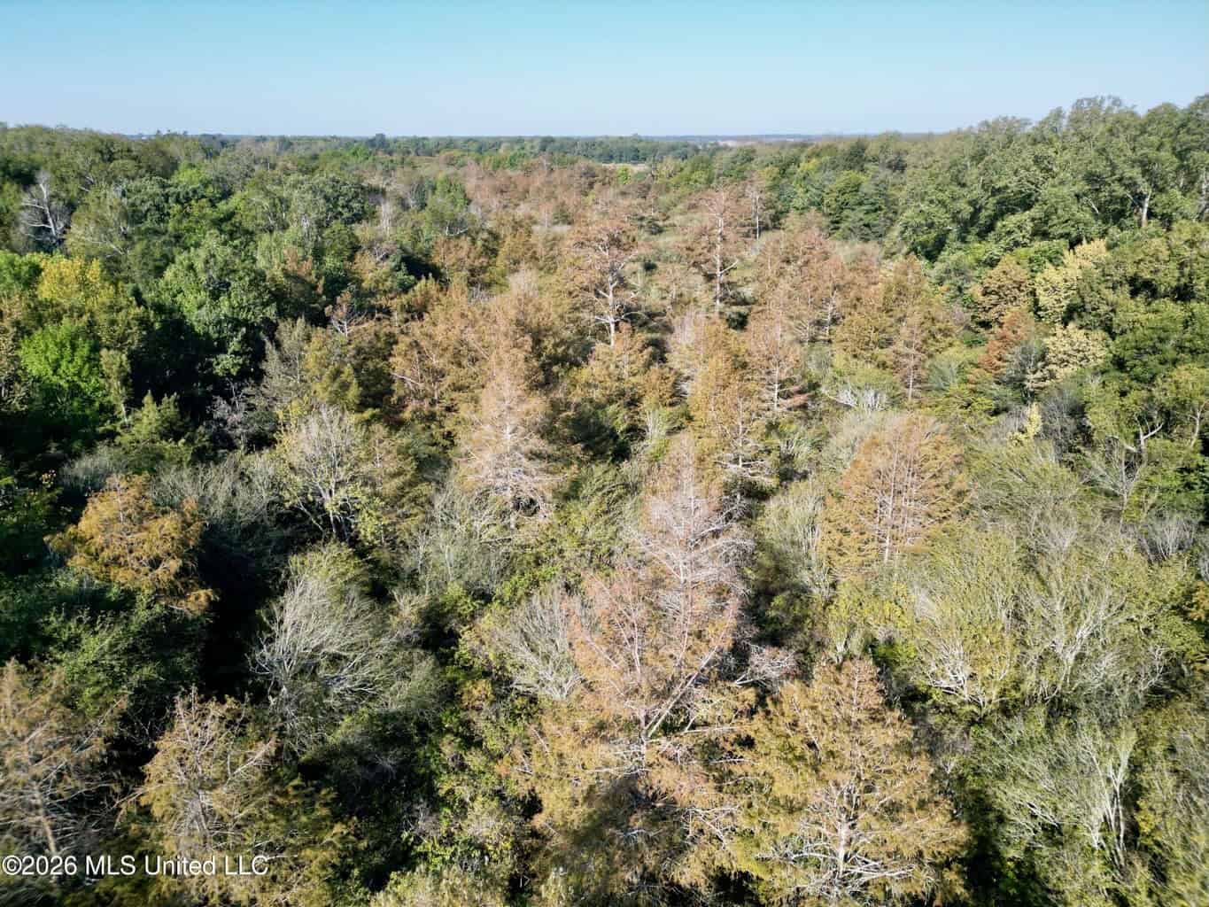 41.22 Acres MS Delta Duck Hunting