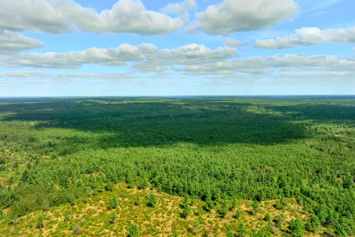 120± acres of heavily timbered hunting land in Eau Claire County