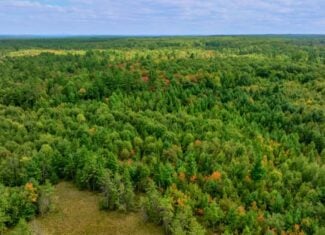 160+/- acres of Western Wisconsin hunting property Eau Claire Cty