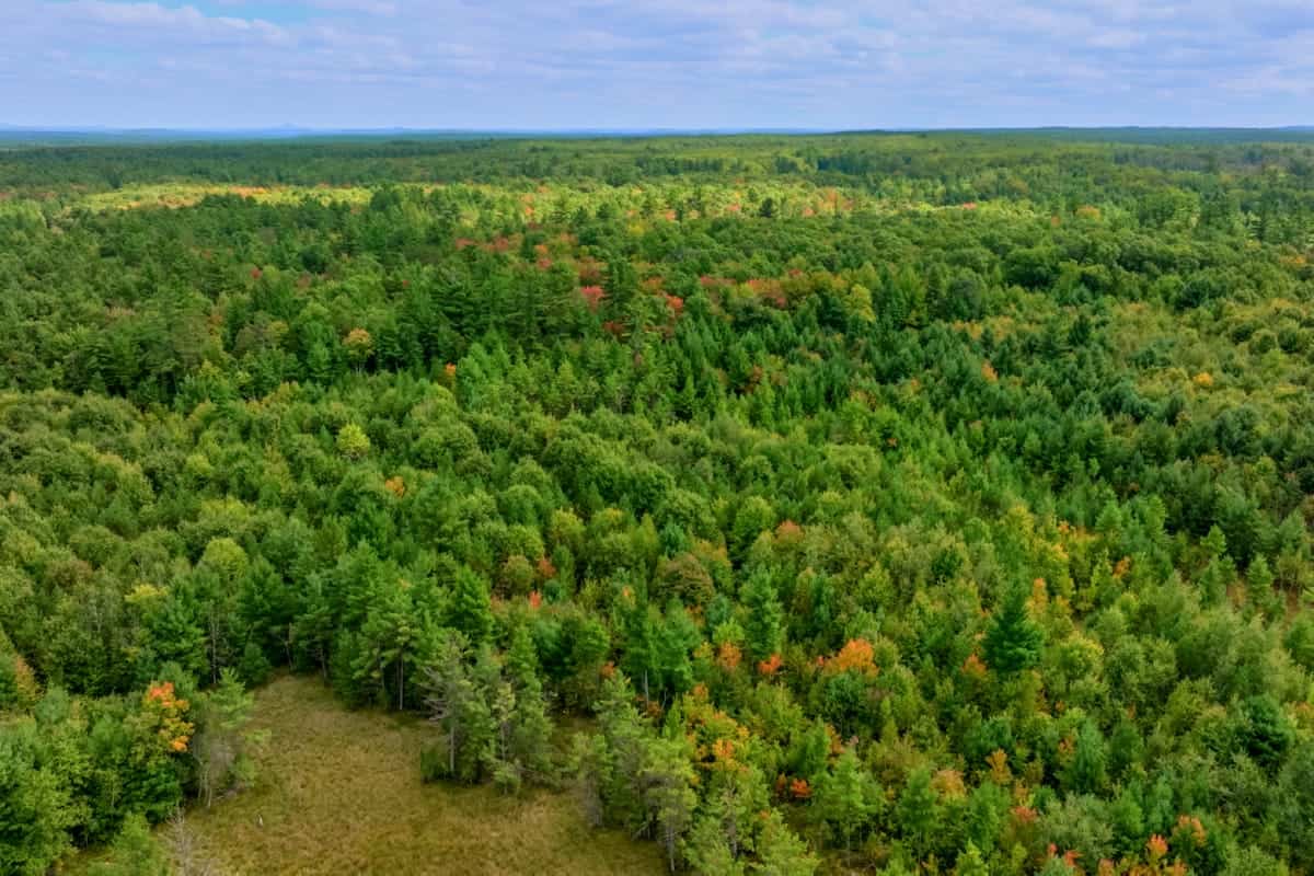 160+/- acres of Western Wisconsin hunting property Eau Claire Cty