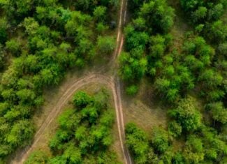 40± acres of timbered hunting and recreational land
