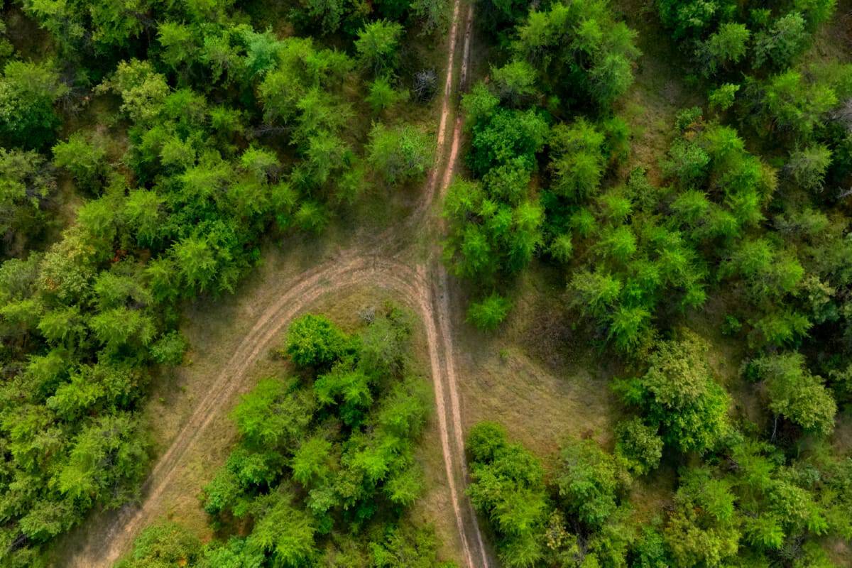 40± acres of timbered hunting and recreational land