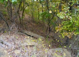 80 Acres +/- Hunting/Recreational Land For Sale Central Oklahoma