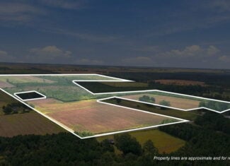 309-Acre Farm & Timberland for Sale in Beaufort County, NC