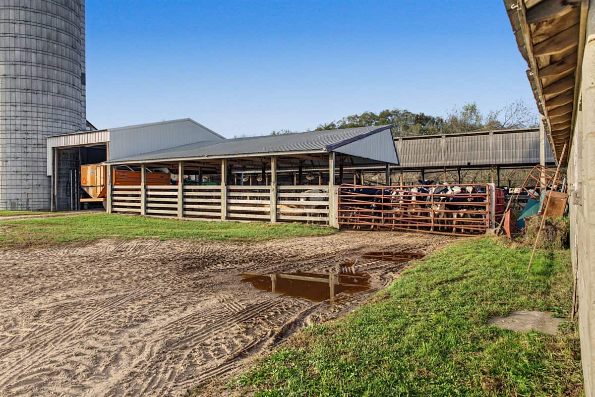 288± Acre Farm, Hunting & Black River Property | Melrose, Jackson County, WI