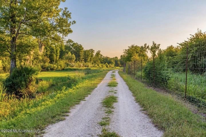 1979± Acre Hunting Plantation in White Castle, LA