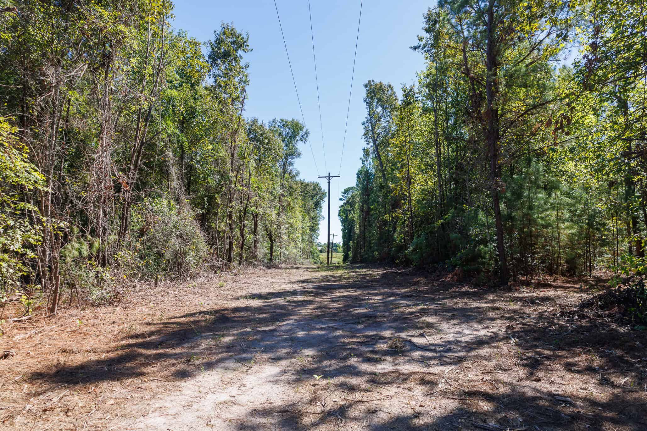 East Texas Recreational Land for Sale Gilmer TX Upshur County | Hunt & Timber