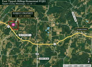 Farm, Breathtaking Home Site, INCREDIBLE Views, Tippah Co., MS