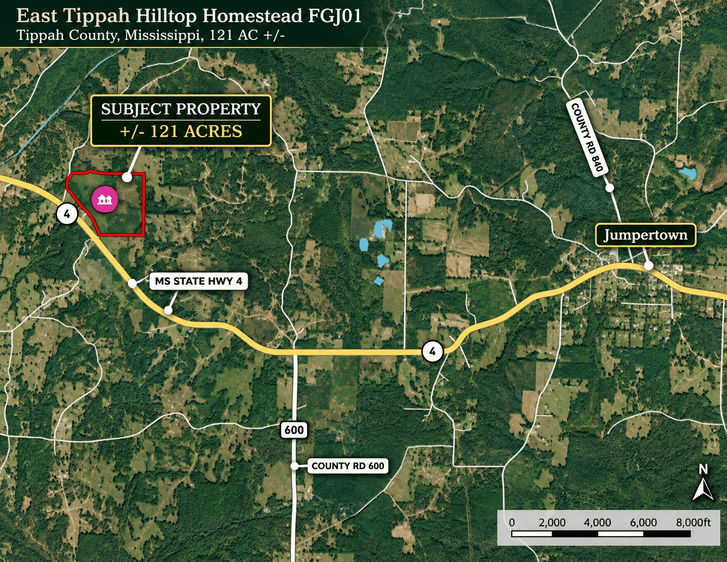 Farm, Breathtaking Home Site, INCREDIBLE Views, Tippah Co., MS
