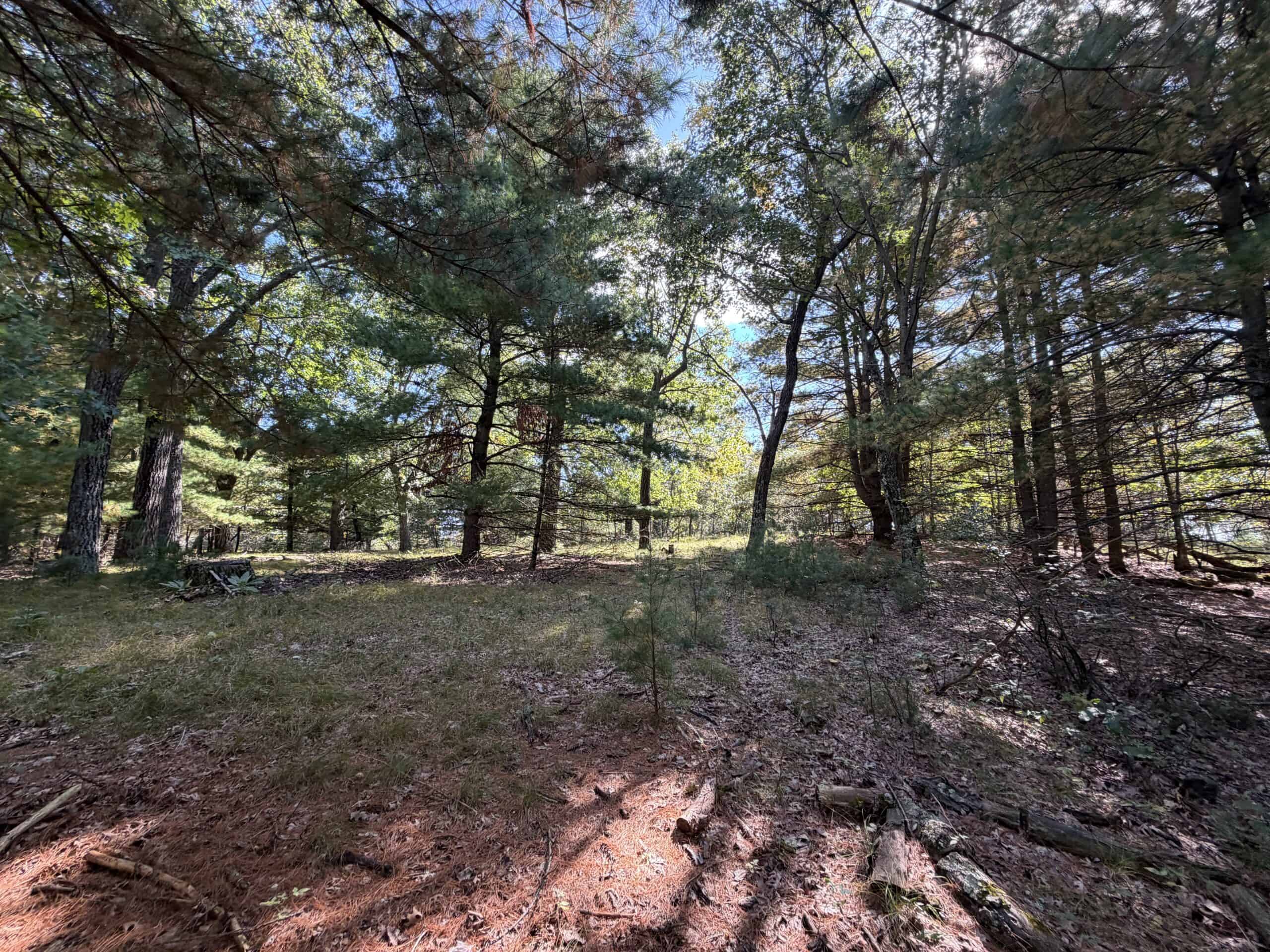 Buildable Hunting and Rec Property in Marquette County WI