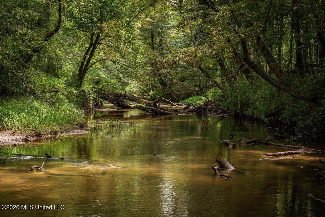 900 Acres for Sale – Hunter’s Paradise South Mississippi