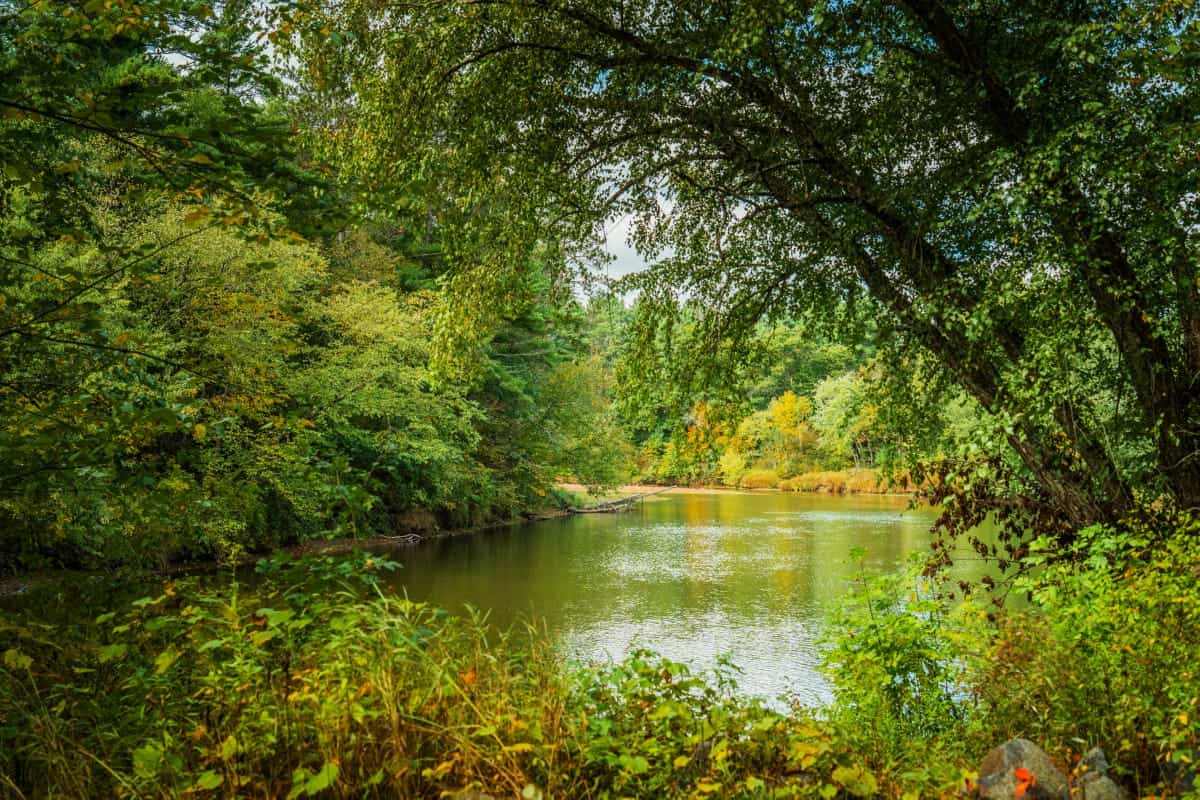 204.74± acres of premier recreational and hunting land in Eau Claire County