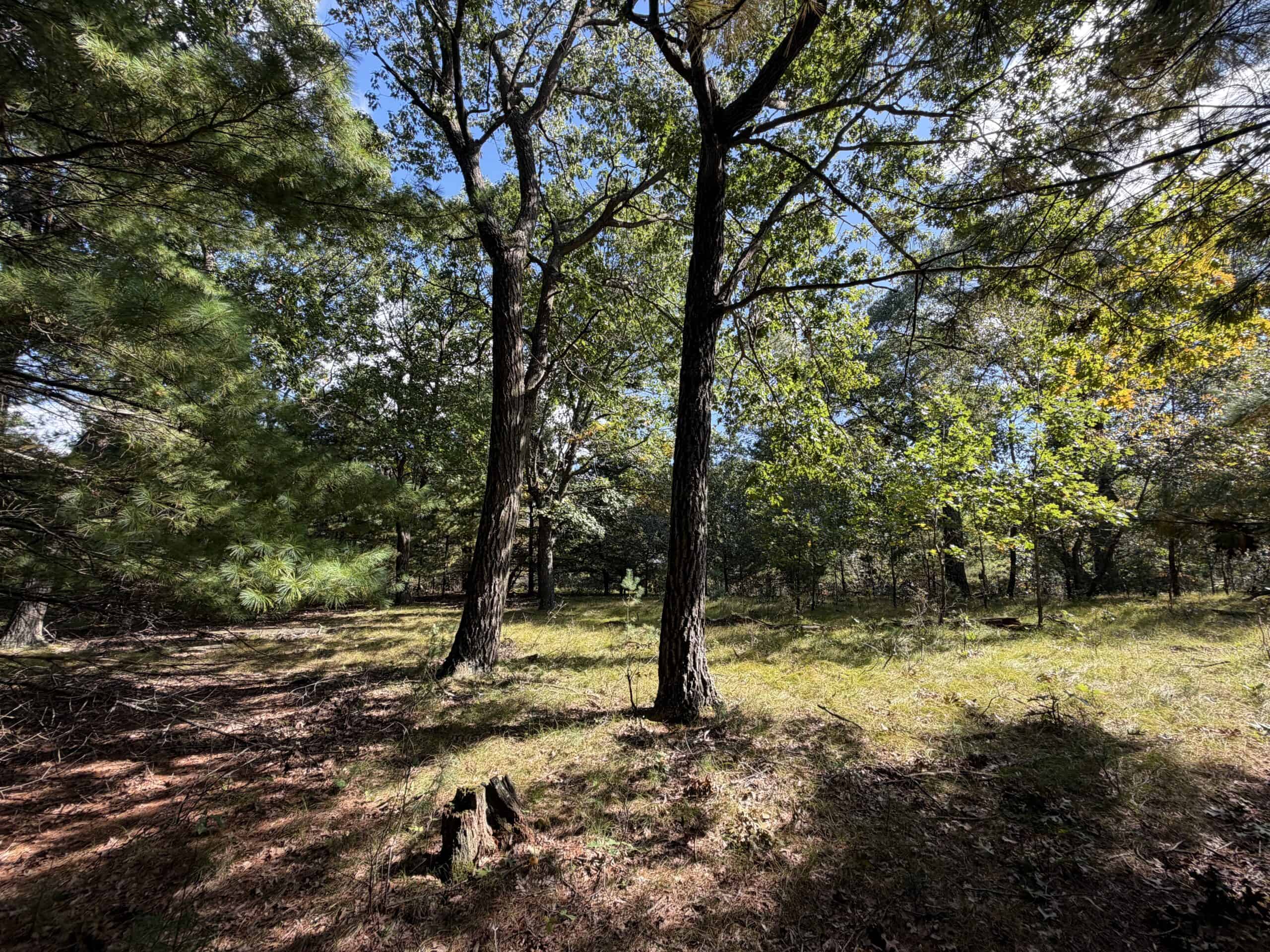 Buildable Hunting and Rec Property in Marquette County WI