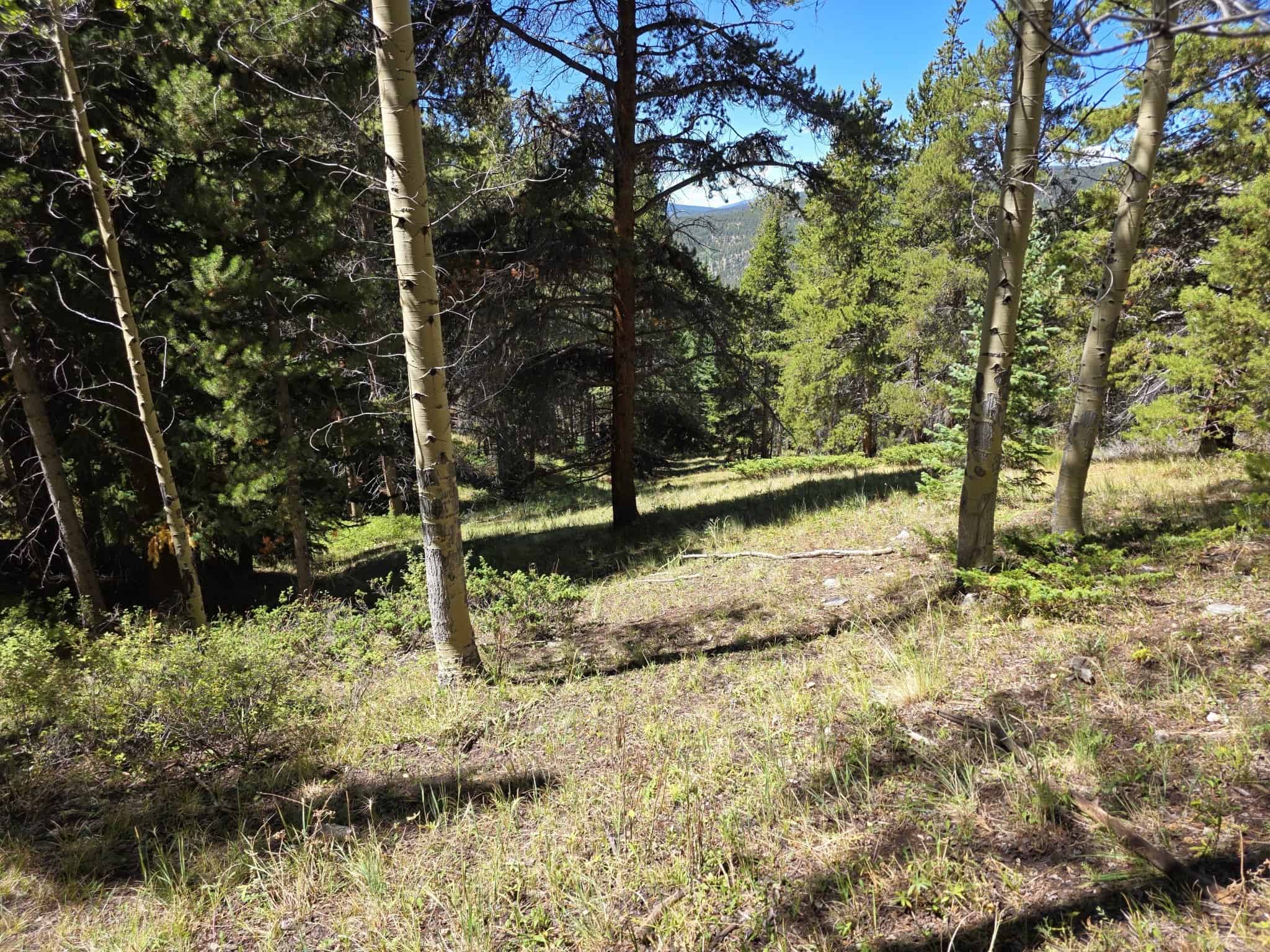 140 ± Acre Mountain Property for Sale in Whitepine, Colorado