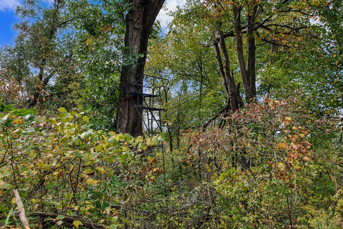 Turnkey 28± Acre Hunting Property Near Melrose, Wisconsin