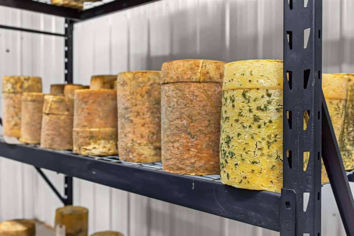 Wisconsin Country Farmstead & Artisan Creamery | Osseo, WI