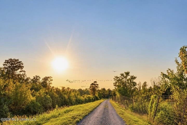 1979± Acre Hunting Plantation in White Castle, LA