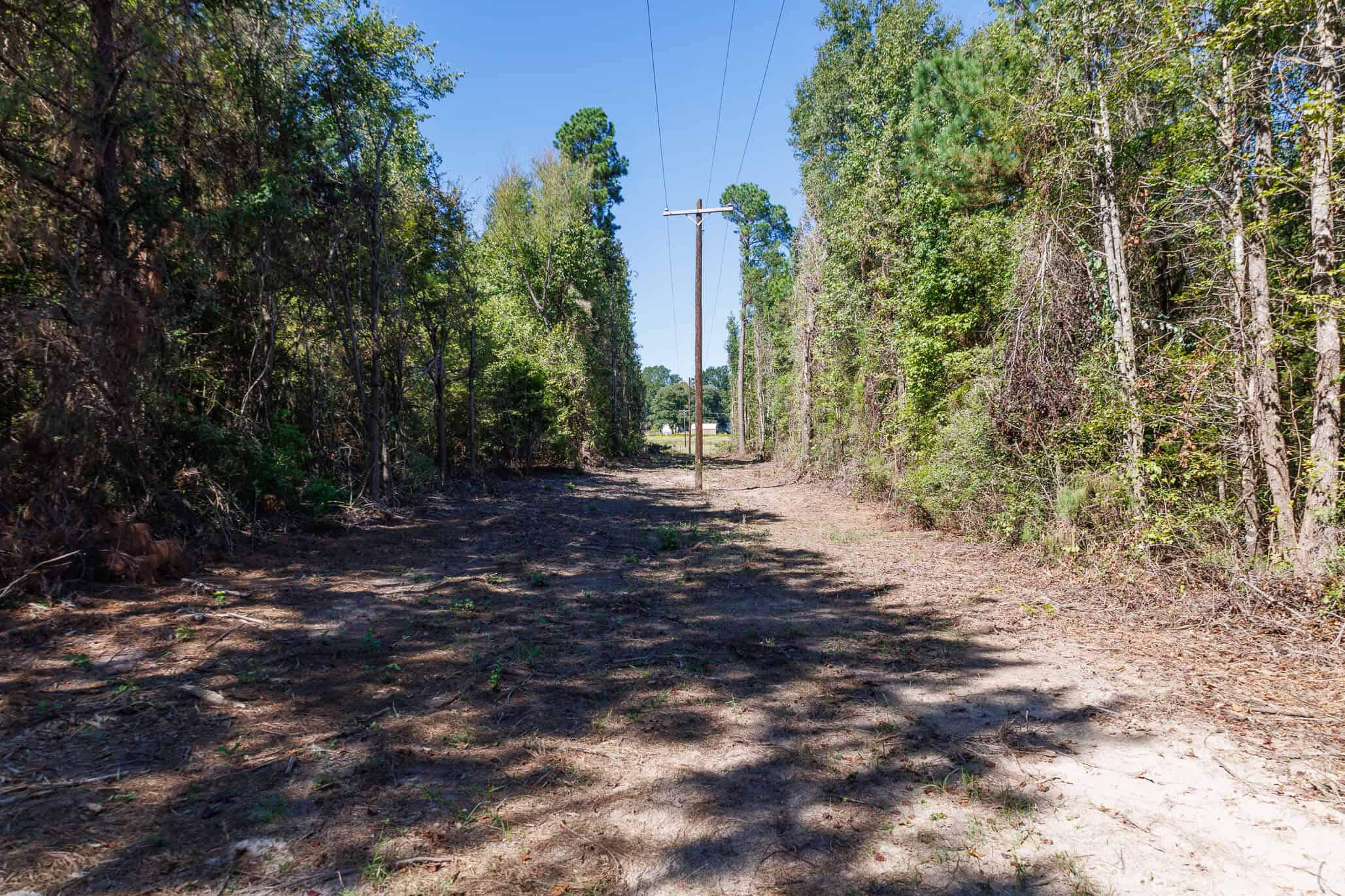 East Texas Recreational Land for Sale Gilmer TX Upshur County | Hunt & Timber
